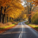 découvrez les risques croissants des collisions avec le gibier à bar-le-duc, où les bois du cerf peuvent gravement endommager votre pare-brise. adoptez les bonnes pratiques pour votre sécurité.